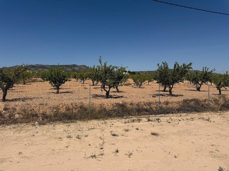 Villa i Pinoso, Alicante - foto 5