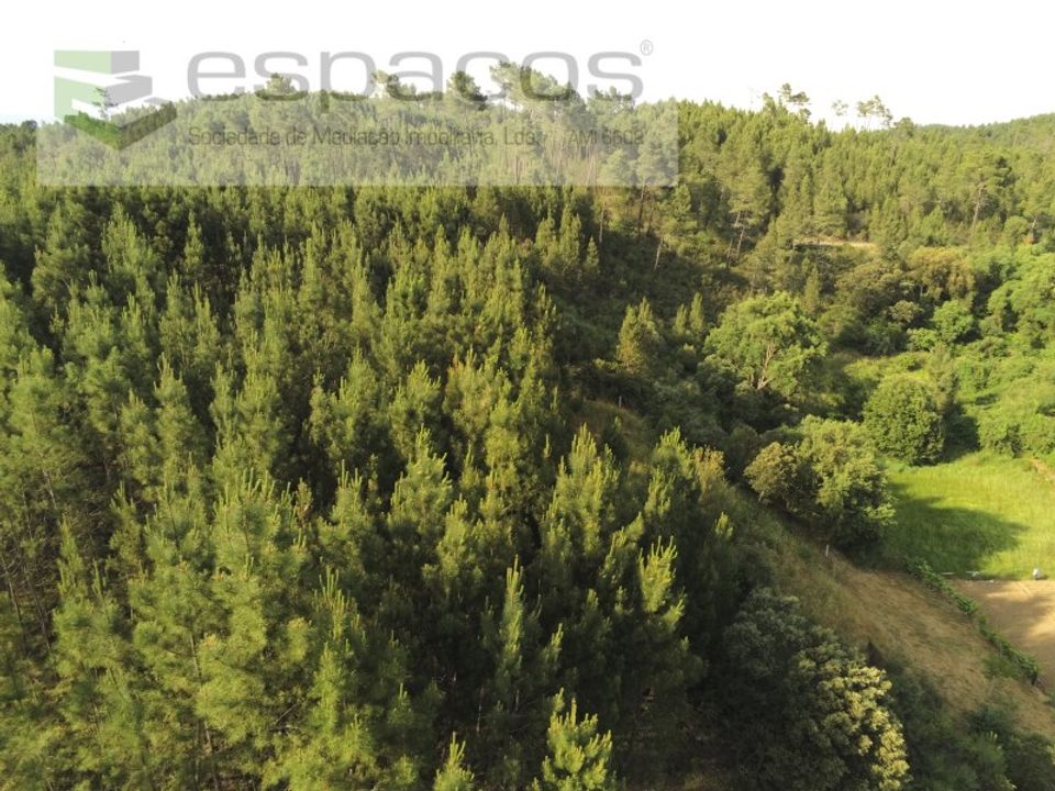 Helårsgrund i Silvares, Castelo Branco - foto 2
