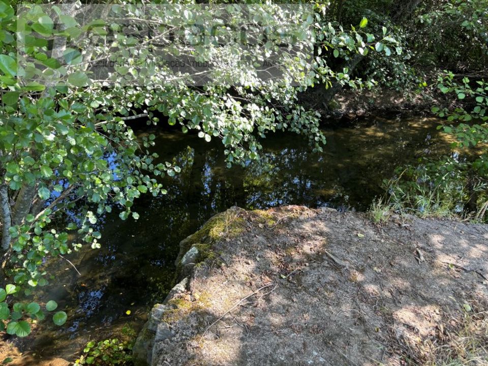 Helårsgrund i Silvares, Castelo Branco - foto 3