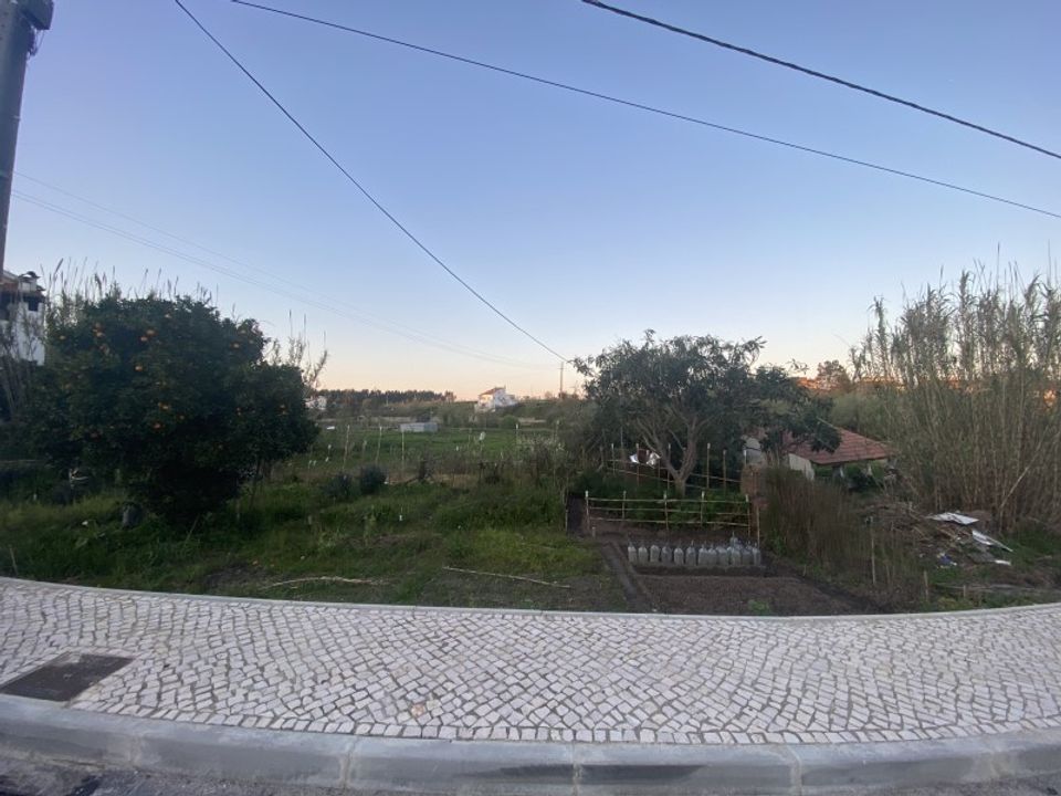 Tomt i Soure, Coimbra - bilde 2