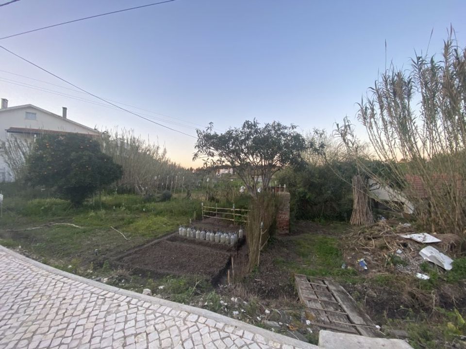 Tomt i Soure, Coimbra - bilde 5