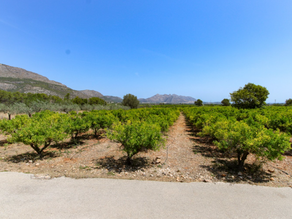 Helårsgrund i Orba, Alicante - foto 4