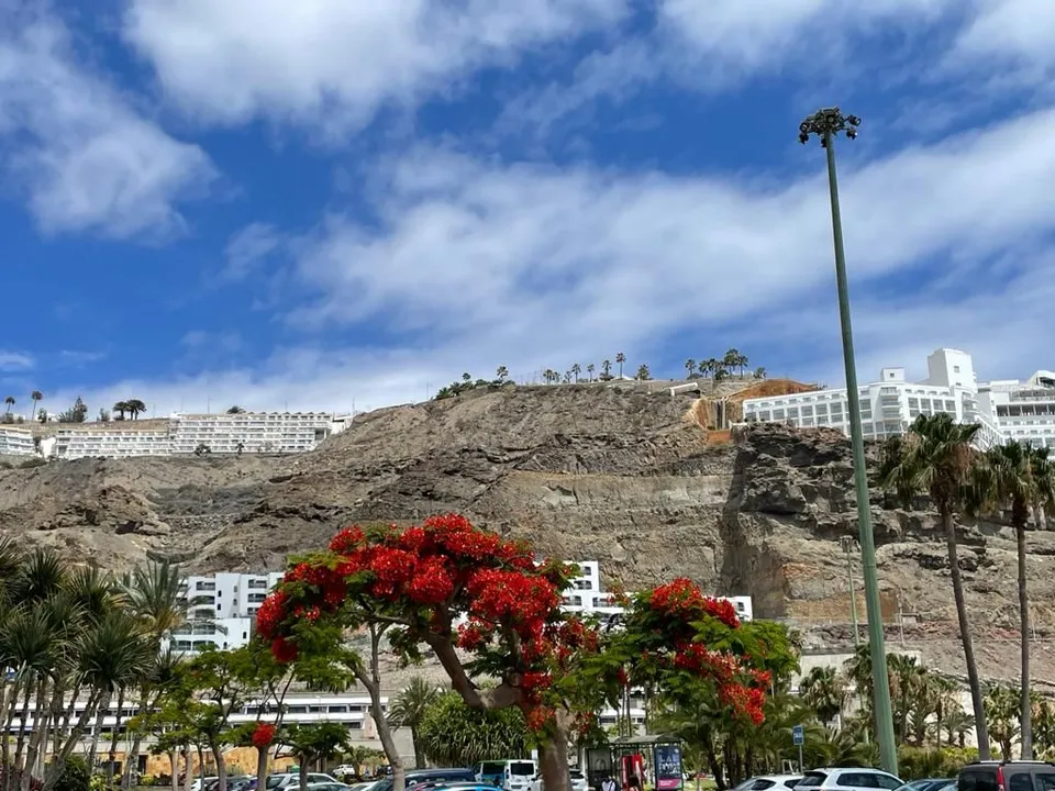 Terra a Mogan, Gran Canaria - foto 5