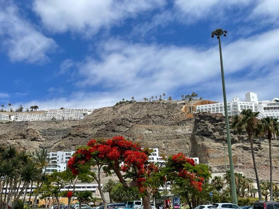 Helårsgrund i Mogan, Gran Canaria - foto 5