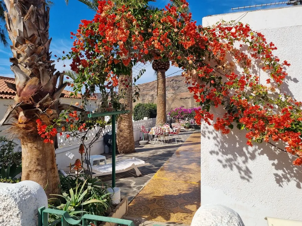Villa i Mogan, Gran Canaria - foto 5