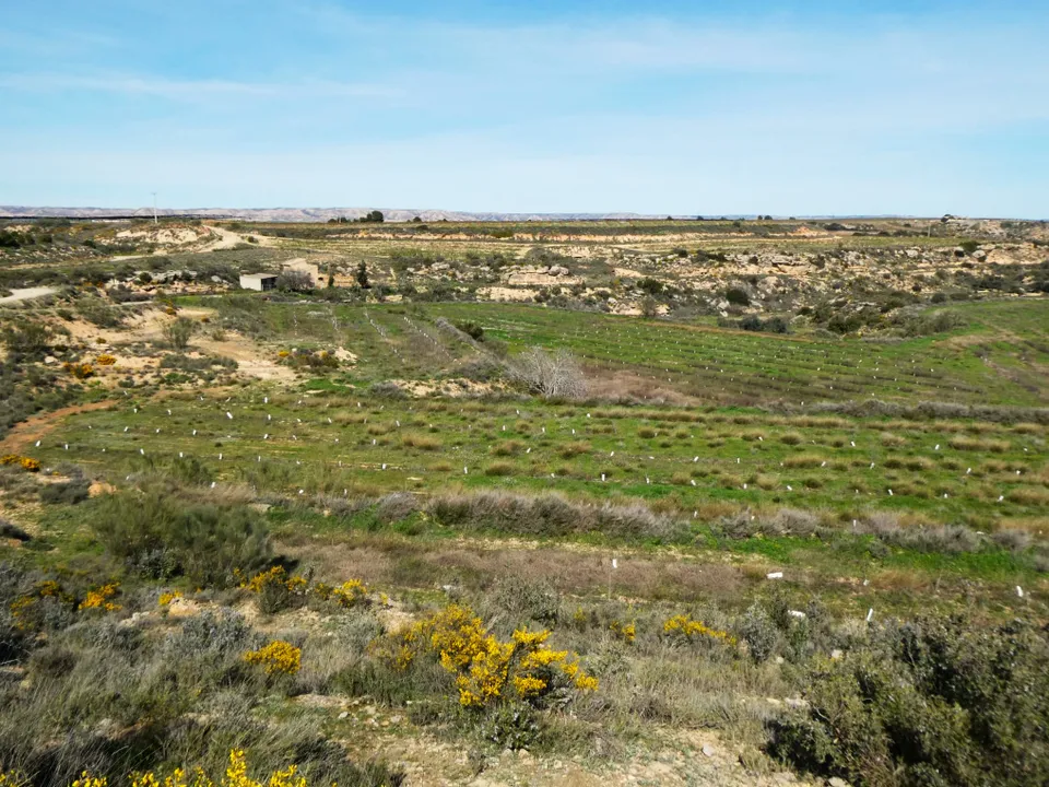 Finca a Caspe, Zaragoza - foto 4