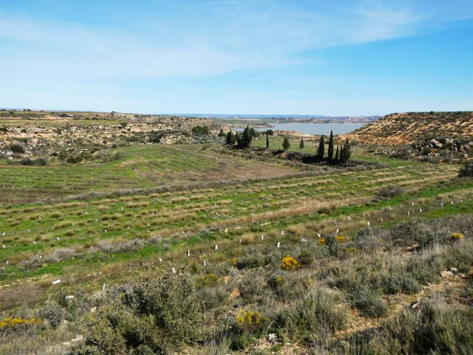 Finca a Caspe, Zaragoza - foto 3