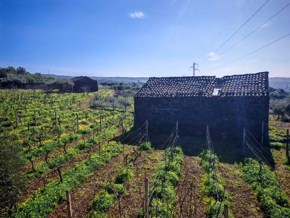 Helårsgrund i Santa Maria di Licodia, Catania - foto 2