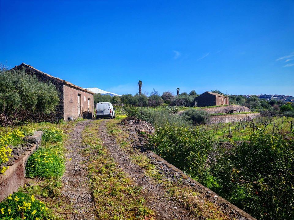 Helårsgrund i Santa Maria di Licodia, Catania - foto 3