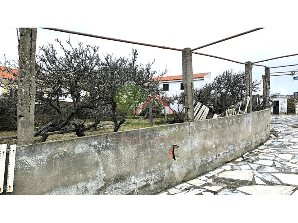 Farm i Mafra, Lisbon - foto 5