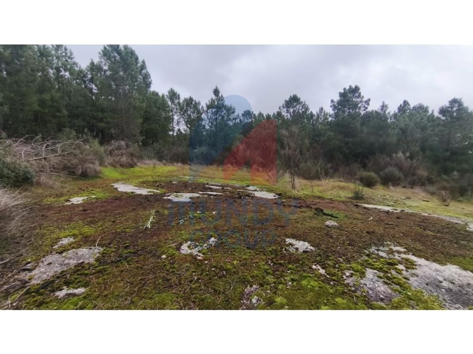 Terra a Vale de Prazeres e Mata da Rainha, Castelo Branco - foto 4