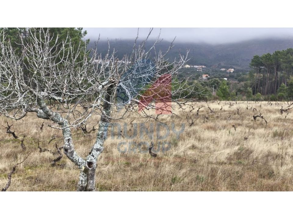 Helårsgrund i Vale de Prazeres e Mata da Rainha, Castelo Branco - foto 5