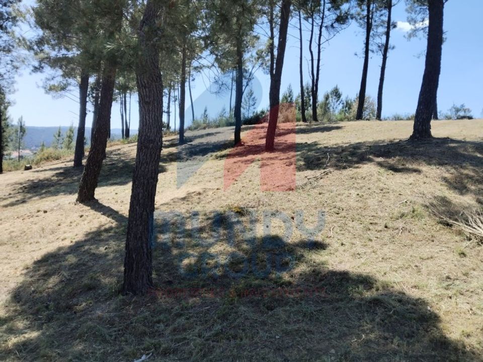 Helårsgrund i Casegas e Ourondo, Castelo Branco - foto 4