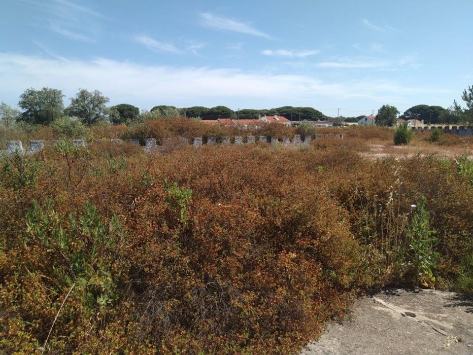 Villa i Montijo, Setubal - foto 4