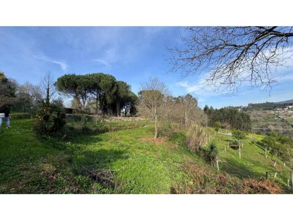 Helårsgrund i Penafiel, Porto - foto 3