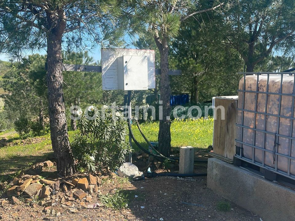 Helårsgrund i Castro Marim, Faro - foto 2