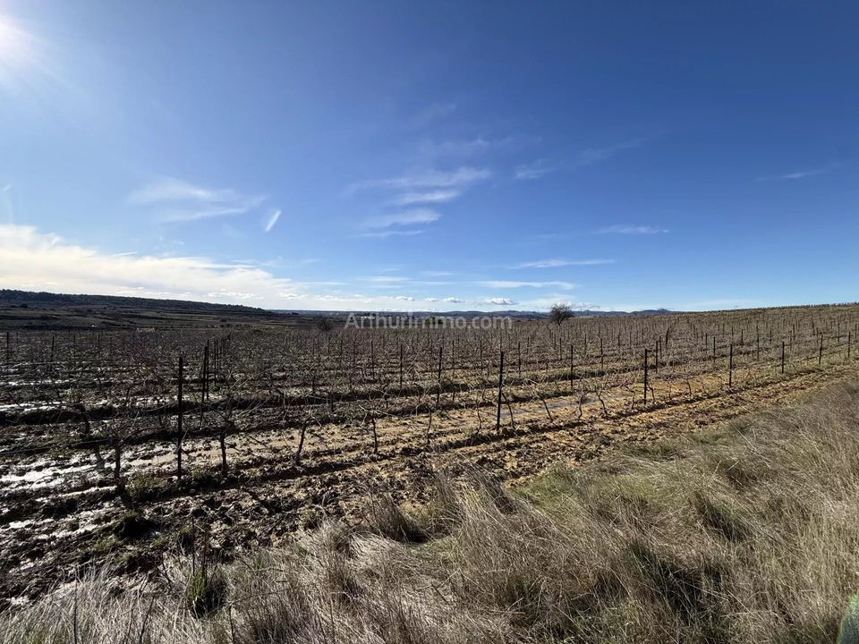 Helårsgrund i Plaissan, Herault - foto 3