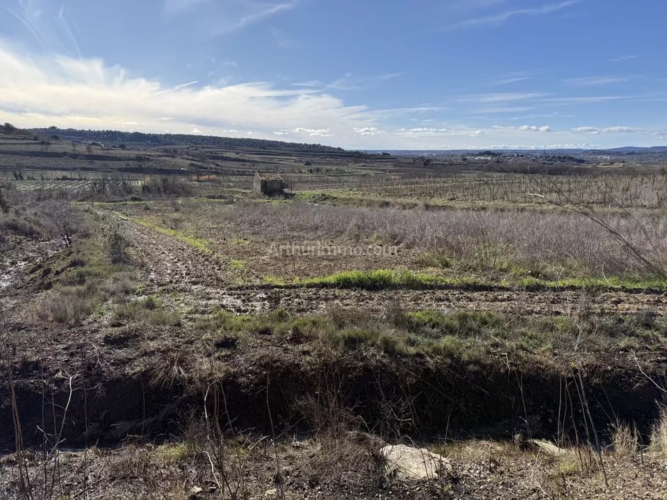 Helårsgrund i Plaissan, Herault - foto 5