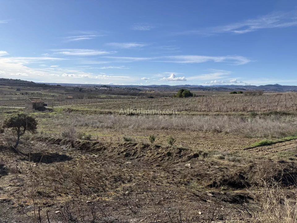 Helårsgrund i Plaissan, Herault - foto 4