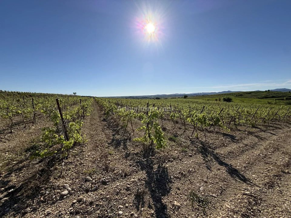 Helårsgrund i Plaissan, Herault - foto 1