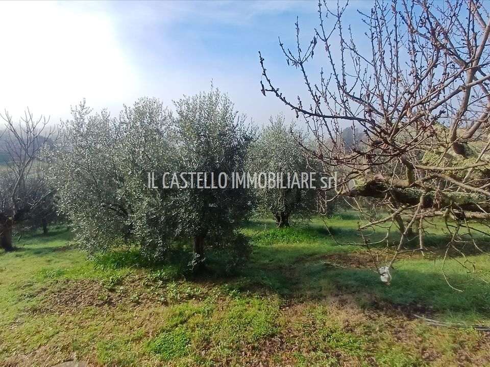 Farm hus i Trequanda, Siena - foto 3