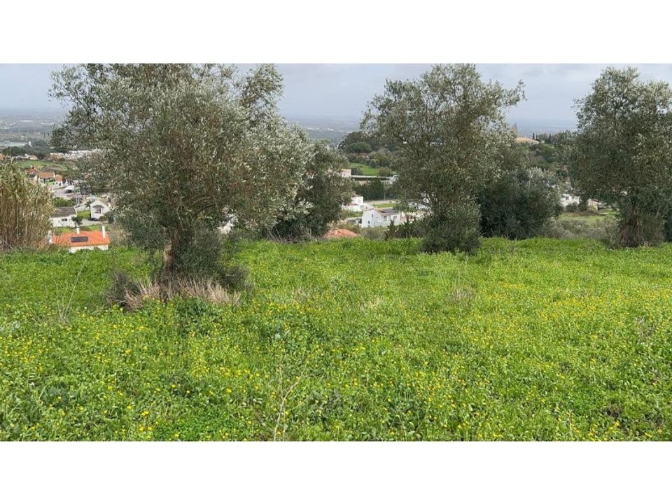 Helårsgrund i Palmela, Setubal - foto 3