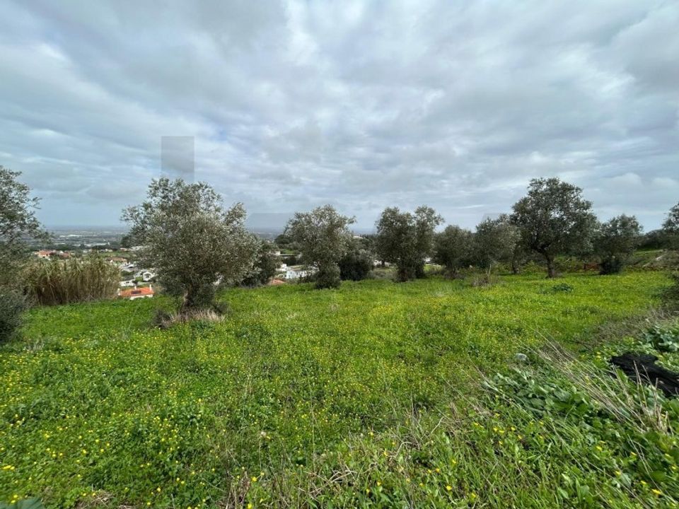 Helårsgrund i Palmela, Setubal - foto 4