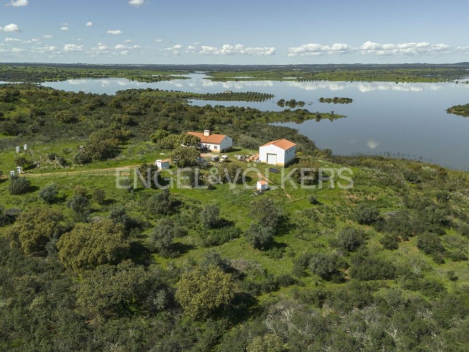 Farm i Reguengos de Monsaraz, Evora - foto 1