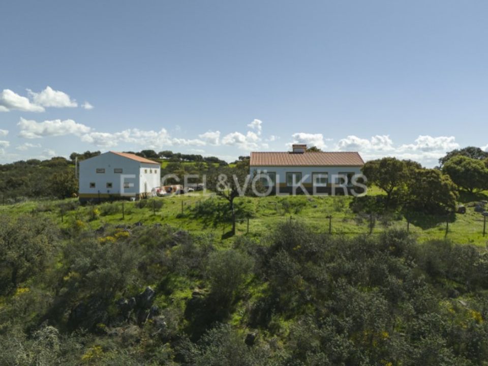 Farm i Reguengos de Monsaraz, Evora - foto 2