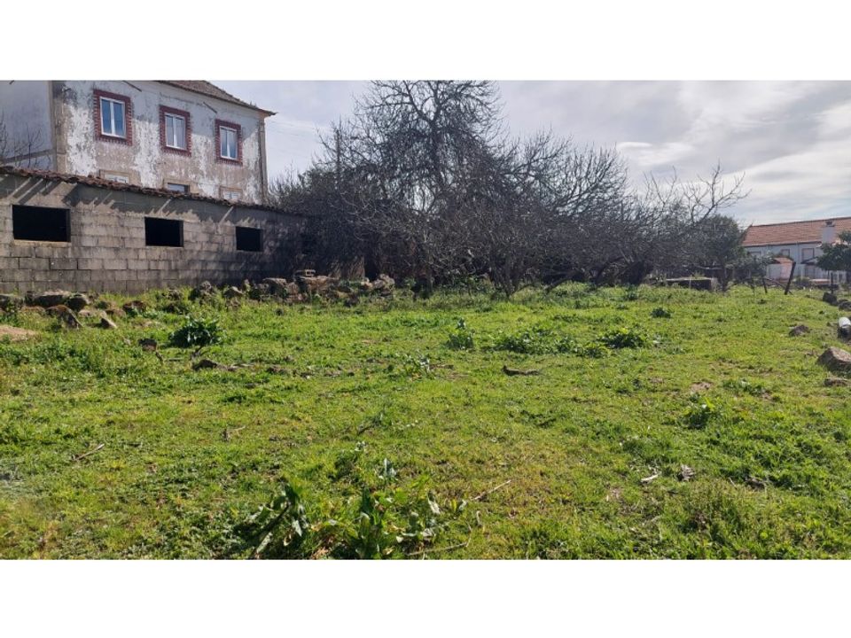 Helårsgrund i Macao, Santarem - foto 5