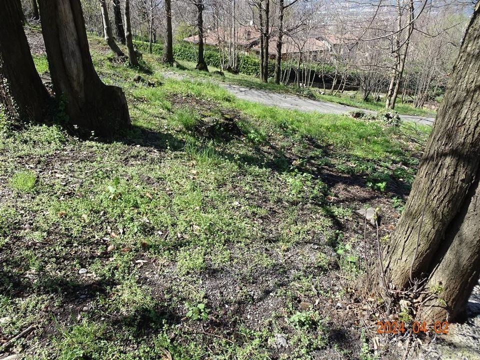Helårsgrund i Ello, Lecco - foto 1