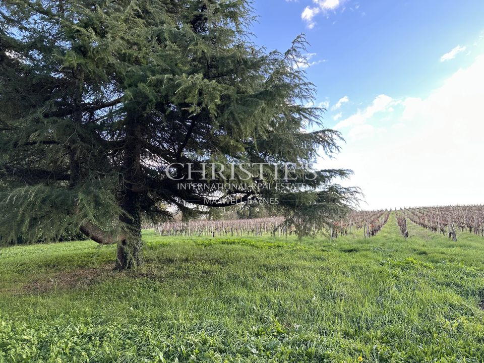 Villa i Fronsac, Gironde - foto 4