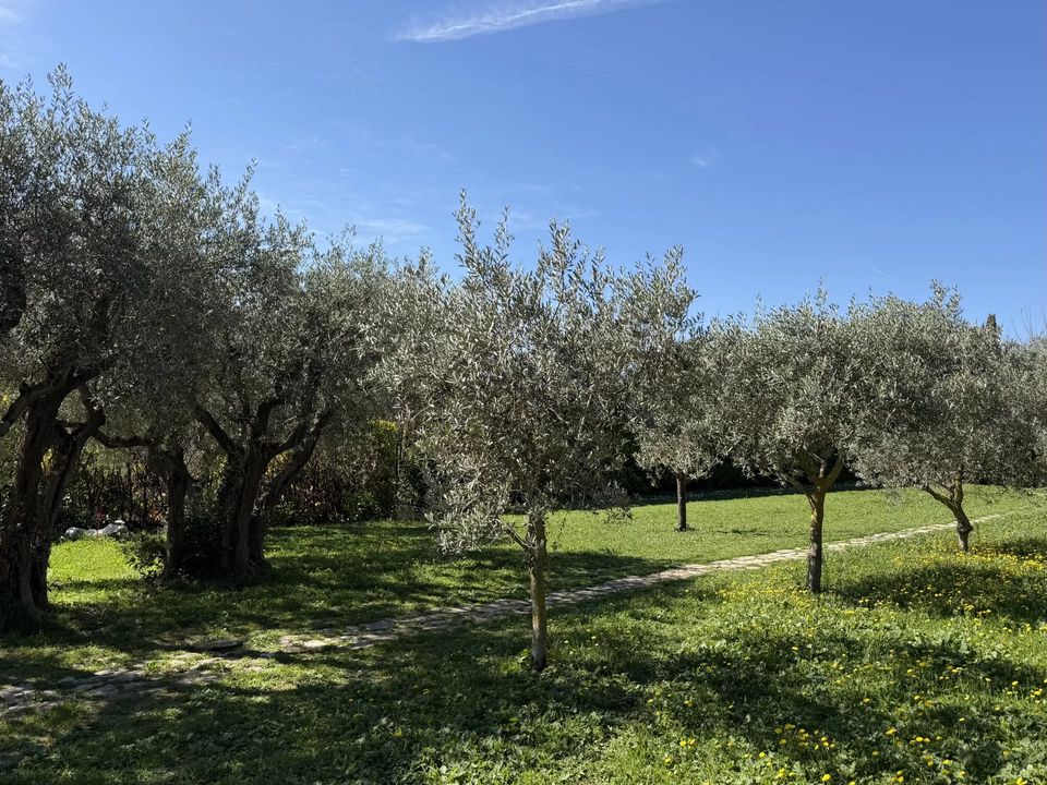 Helårsgrund i Aix-en-Provence, Bouches-du-Rhone - foto 2