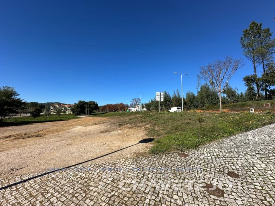 Helårsgrund i Ferreira do Zezere, Santarem - foto 5