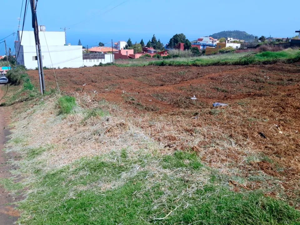 Tomt i Tacoronte, Tenerife - bilde 3