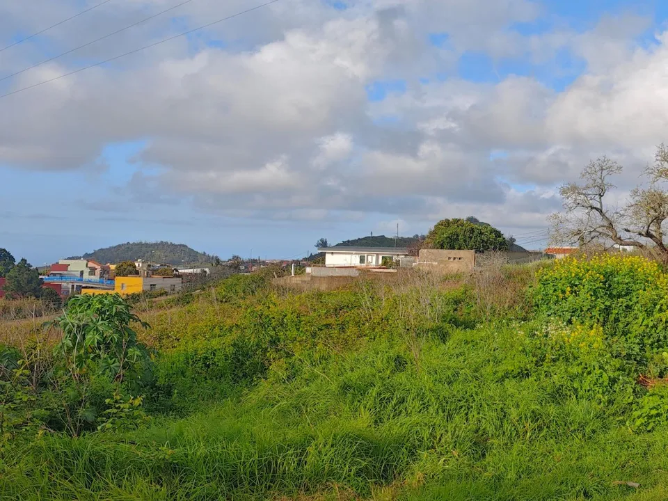 Tomt i Tacoronte, Tenerife - bilde 4