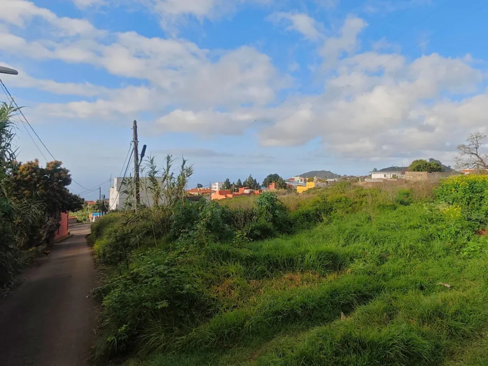 Tomt i Tacoronte, Tenerife - bilde 5