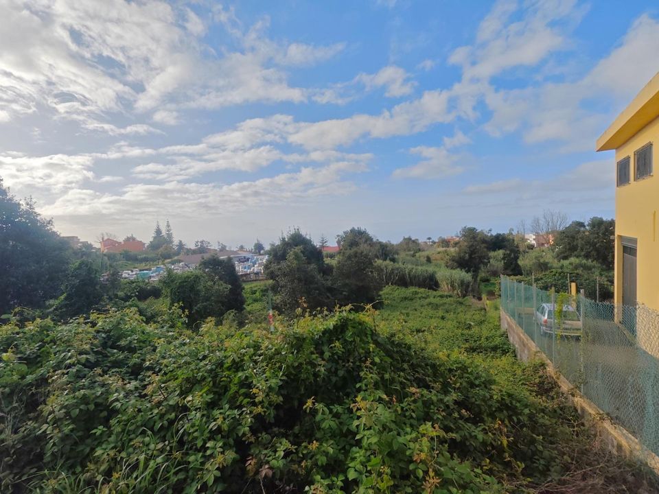 Tomt i Tacoronte, Tenerife - bilde 3