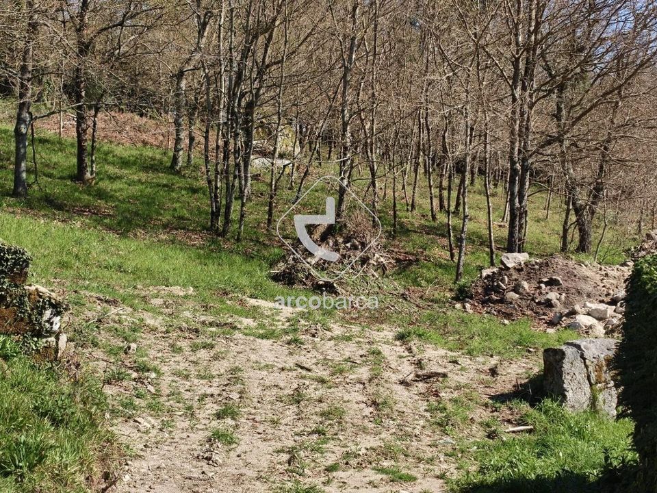 Tomt i Paredes de Coura, Viana do Castelo - bilde 1
