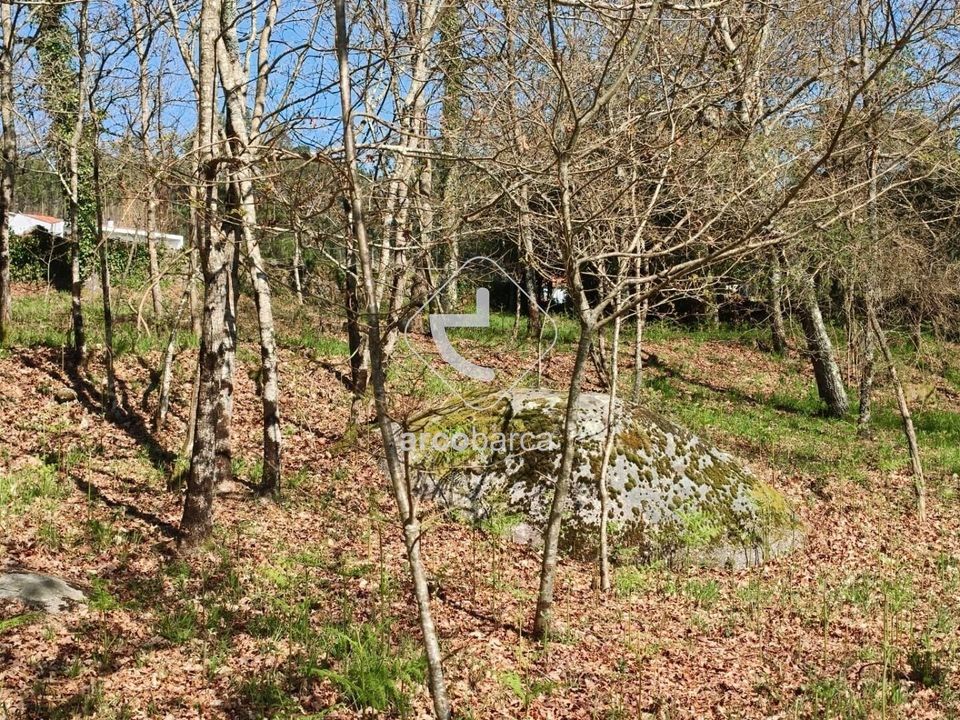 Tomt i Paredes de Coura, Viana do Castelo - bilde 2