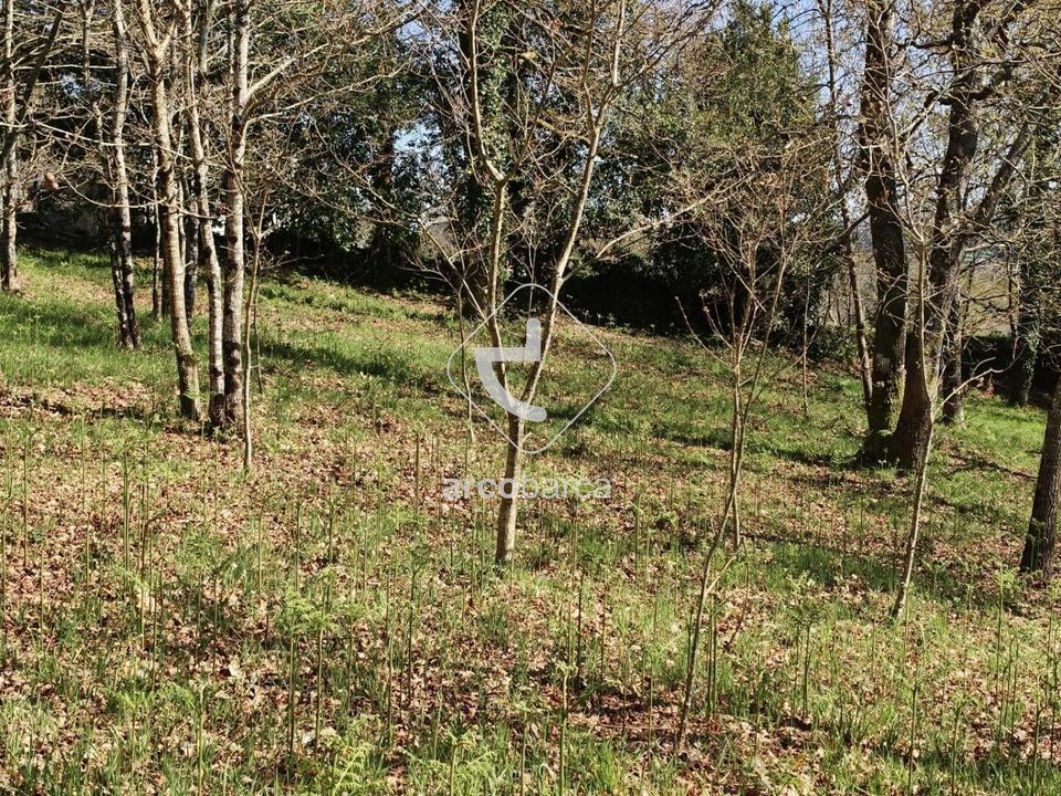 Tomt i Paredes de Coura, Viana do Castelo - bilde 3