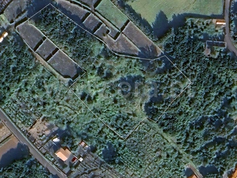 Erhvervsejendom i Madalena, Pico - foto 2