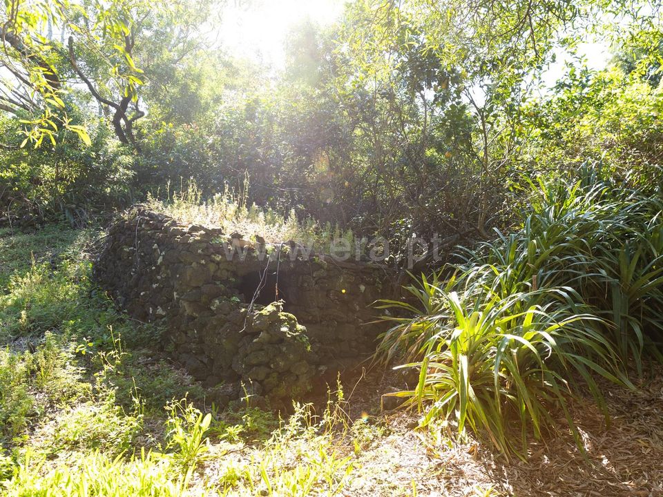 Erhvervsejendom i Madalena, Pico - foto 4
