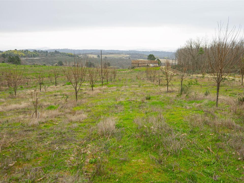 Granja a Covilha, Castelo Branco - foto 3