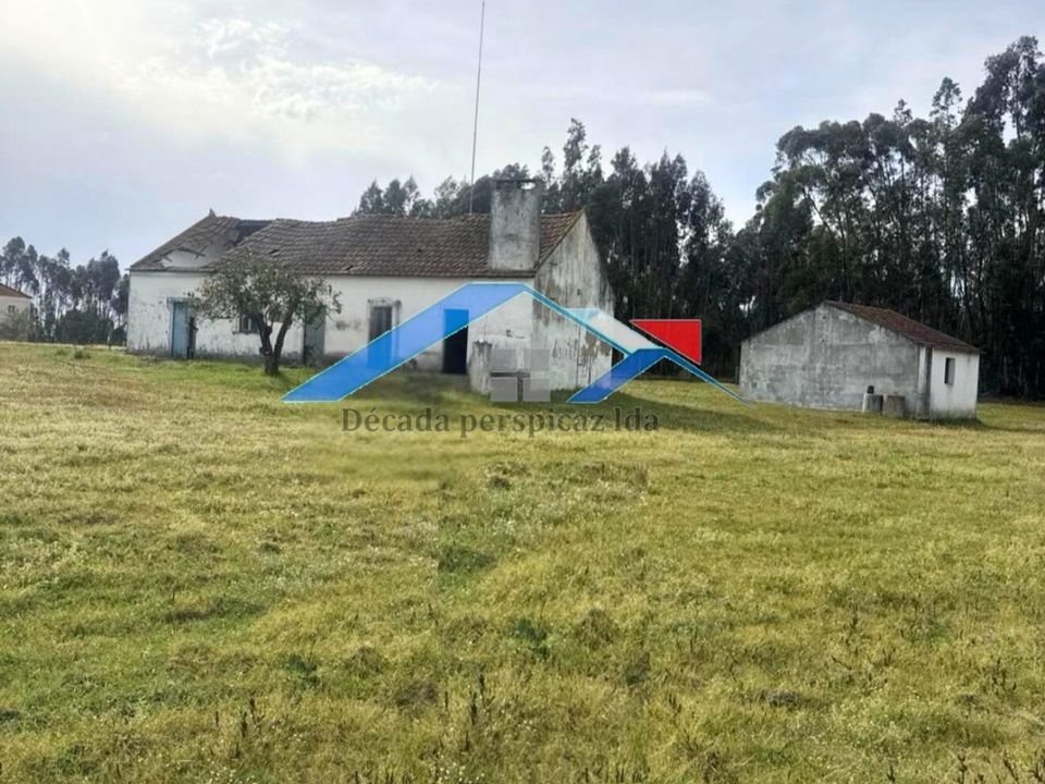 Farm hus i Coruche, Santarem - foto 1