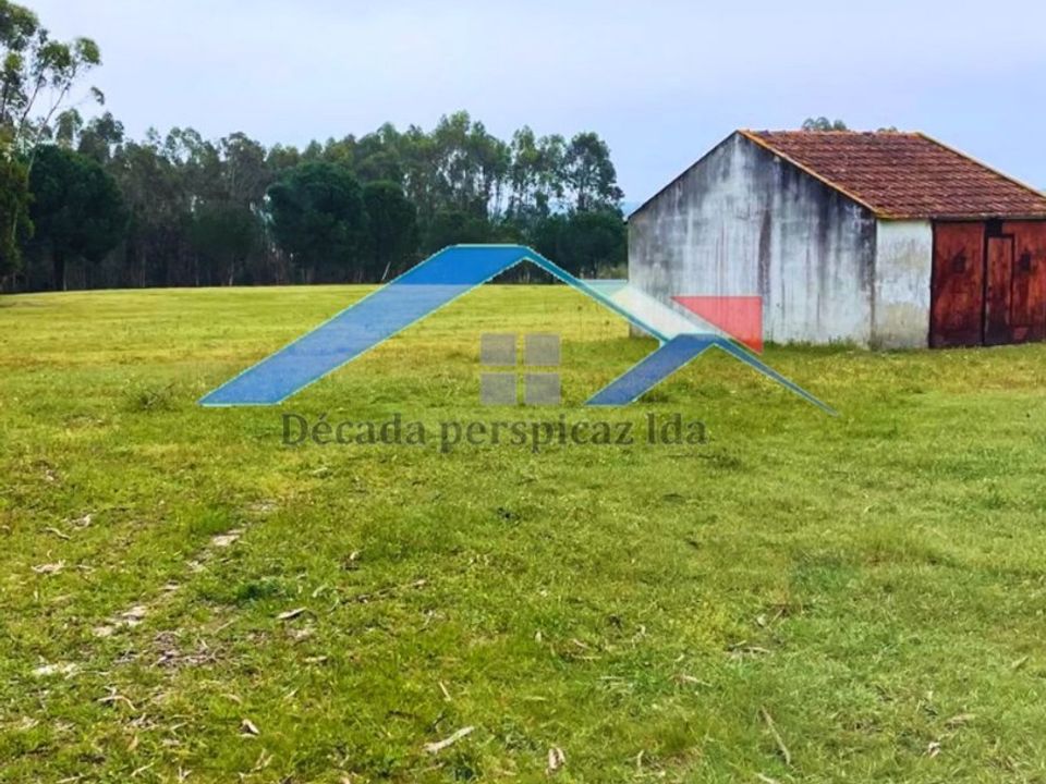 Farm hus i Coruche, Santarem - foto 2
