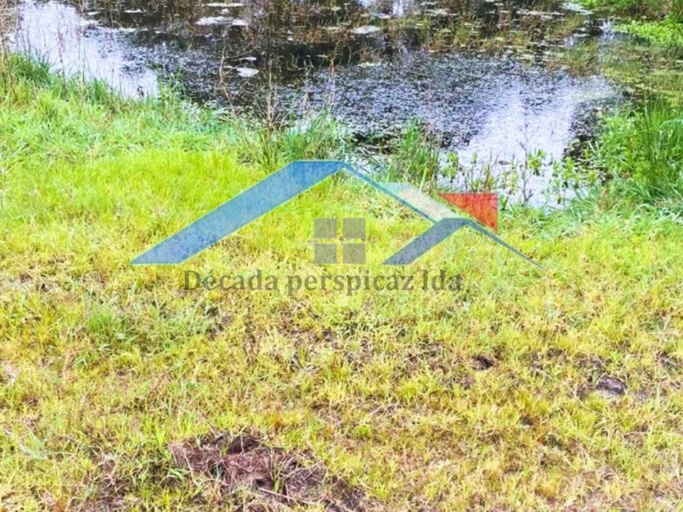 Farm hus i Coruche, Santarem - foto 4