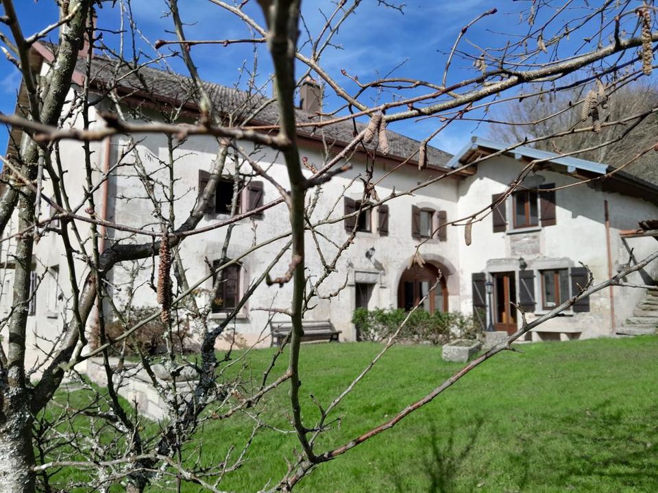 Farm hus i Le Val-d'Ajol, Vosges - foto 1