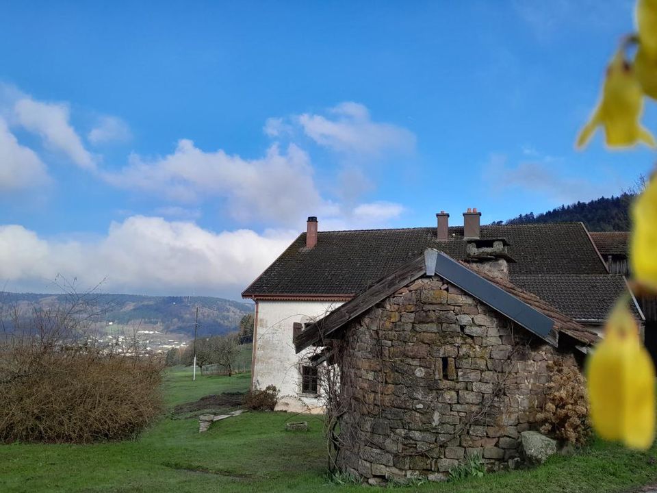 Farm hus i Le Val-d'Ajol, Vosges - foto 2