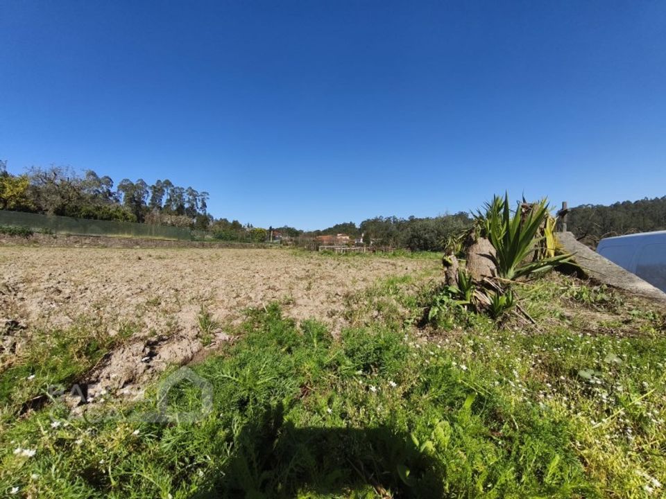 Helårsgrund i Alvito, Beja - foto 3